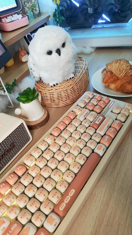 Akko TAC87 Bun Wonderland